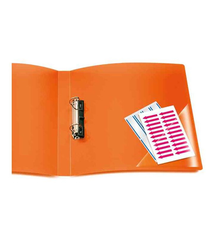 Tout le scolaire