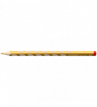 Tout le scolaire