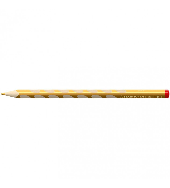 Tout le scolaire