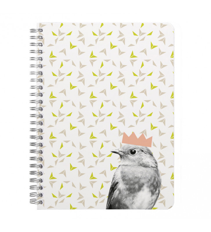 Tout le scolaire