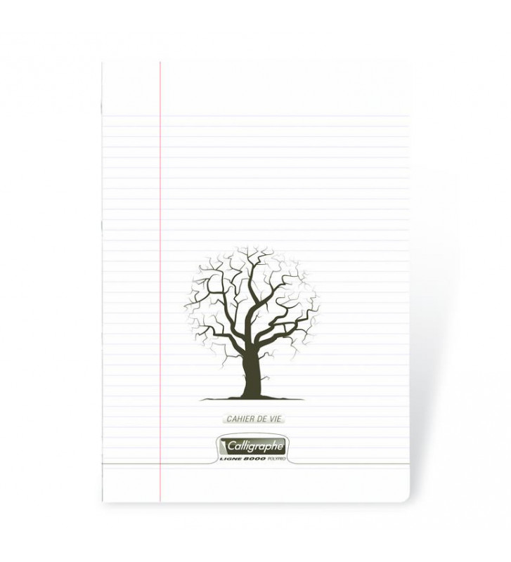 Tout le scolaire