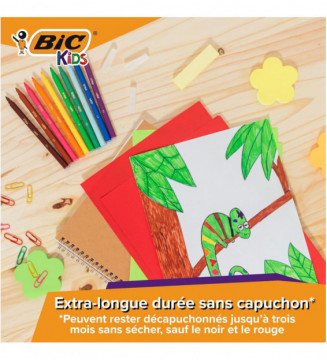 Tout le scolaire