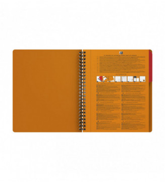Tout le scolaire