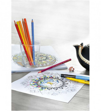 Tout le scolaire