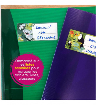 Tout le scolaire