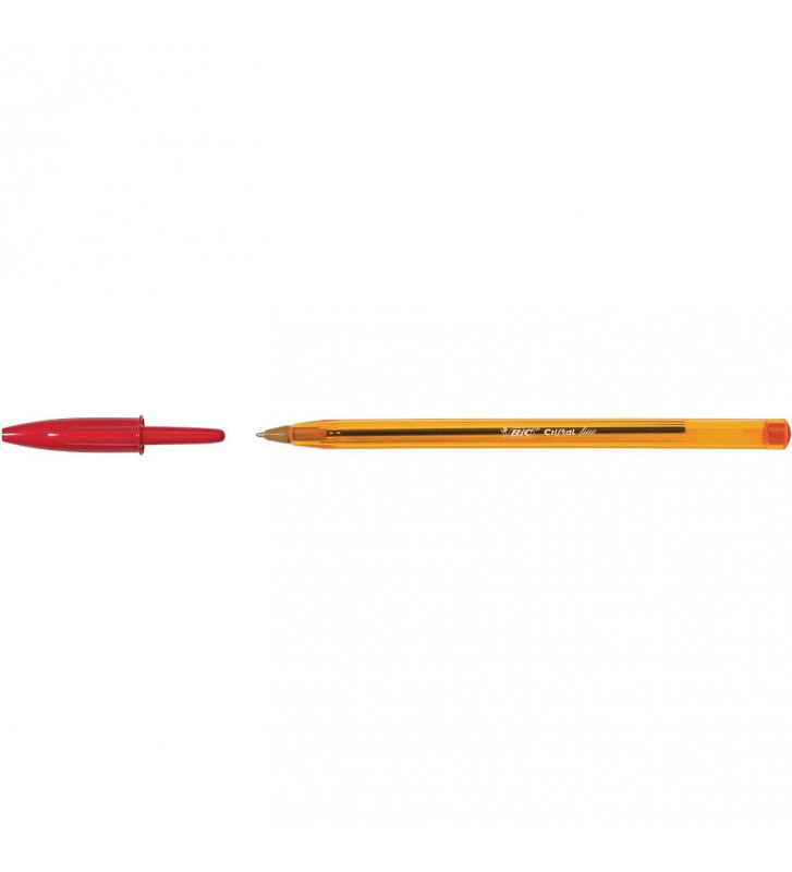 Tout le scolaire