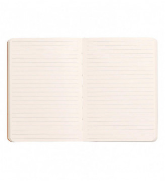 Tout le scolaire
