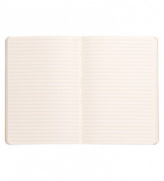 Tout le scolaire