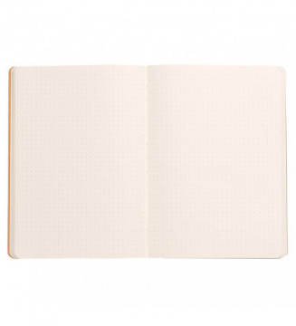 Tout le scolaire