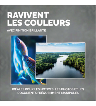 Tout le scolaire