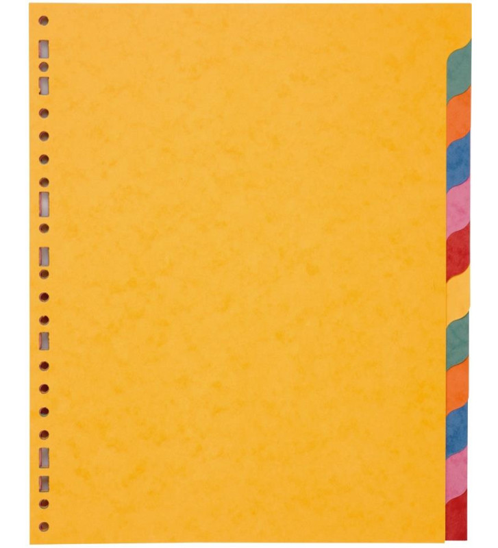 Tout le scolaire