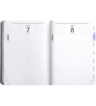 Tout le scolaire