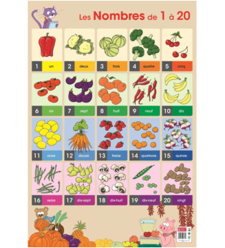 Tout le scolaire