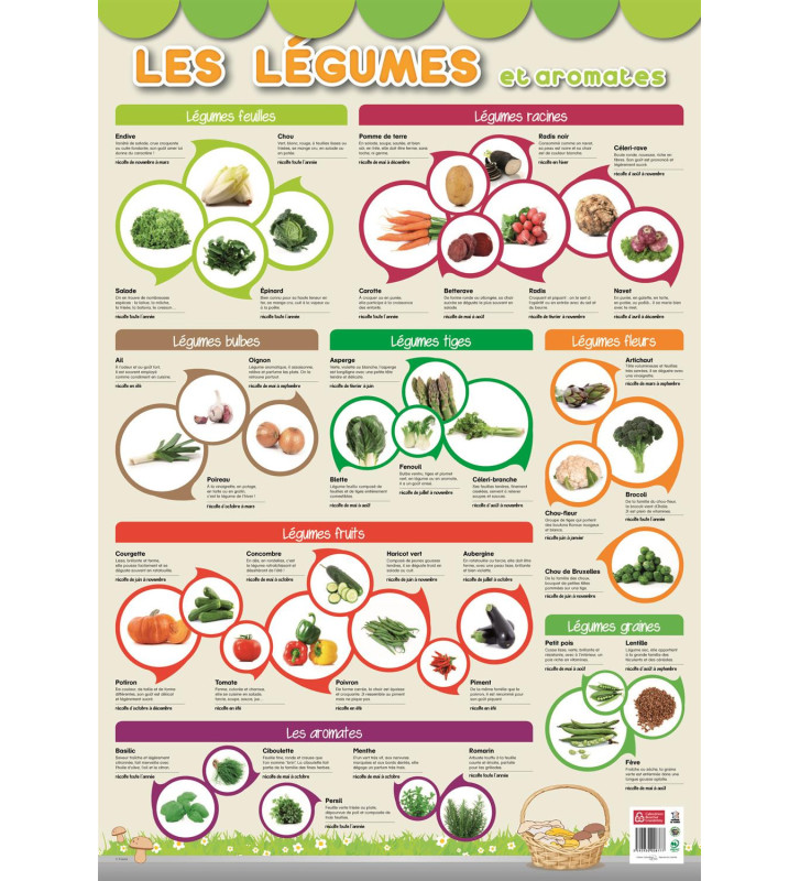 Tout le scolaire