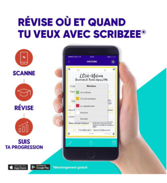 Tout le scolaire