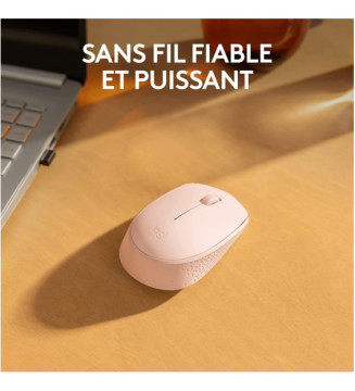Tout le scolaire