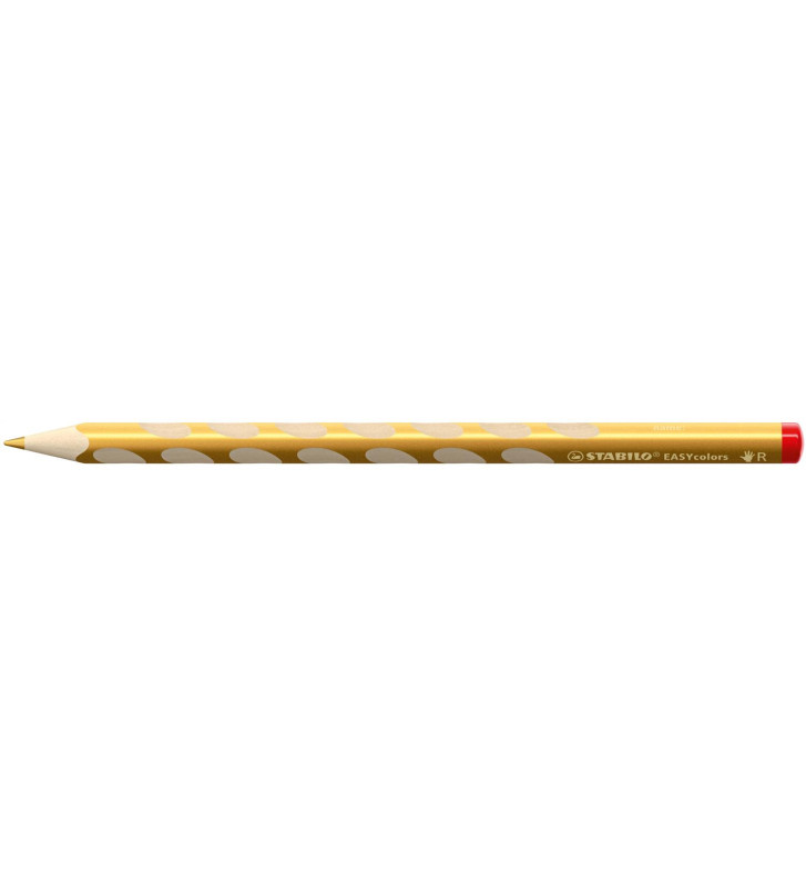 Tout le scolaire