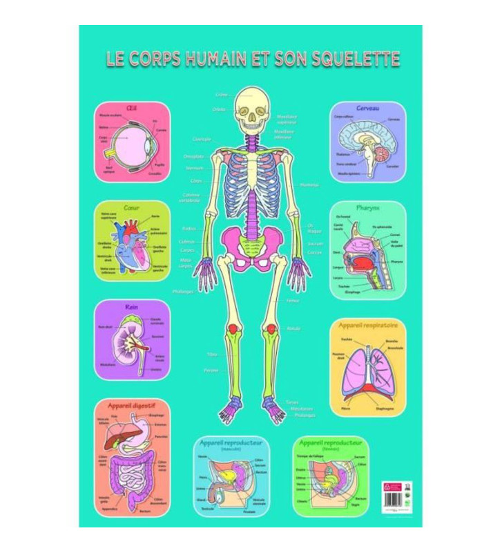 Tout le scolaire