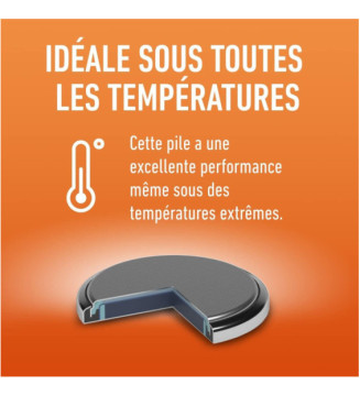 Tout le scolaire