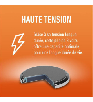 Tout le scolaire