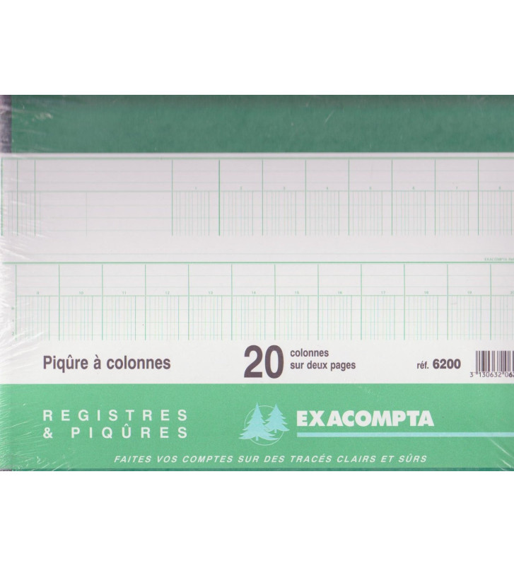 Piqûre 25x32cm 20 colonnes sur 2 pages 24 lignes 80 pages - Couleurs aléatoires