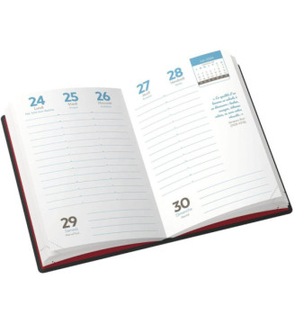 Agenda Scolaire L'ETUDIANT Journalier 15x20cm 352p Couv PVC ouatiné Lilas