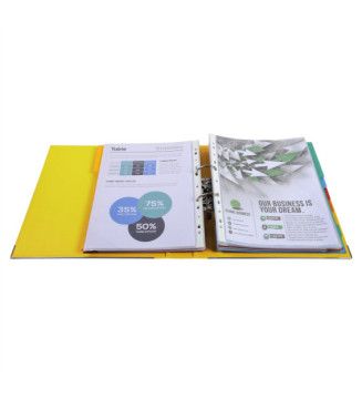Lot de 10 Classeurs à levier Prem'Touch int/ext polypropylène Dos 50mm A4 maxi Coloris Aléatoire