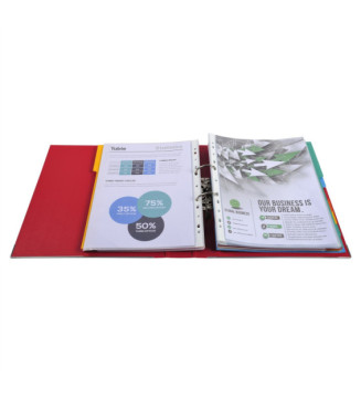 Lot de 10 Classeurs à levier Prem'Touch int/ext polypropylène Dos 50mm A4 maxi Coloris Aléatoire