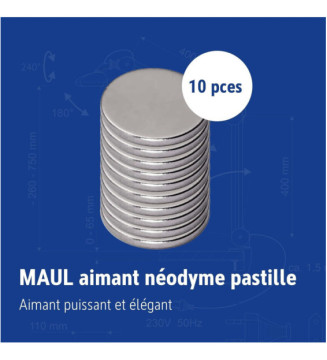 Lot de 10 Aimants Néodyme 0,5 Kg Pastille Diam 10 x (H)1 mm Nickel