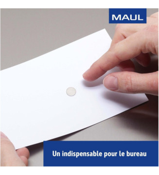 Lot de 10 Aimants Néodyme 0,5 Kg Pastille Diam 10 x (H)1 mm Nickel