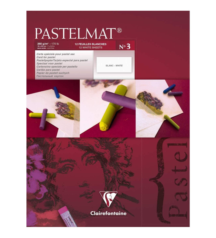 Bloc 12 feuilles pour pastel  PASTELMAT 360g 18x24 Blanc