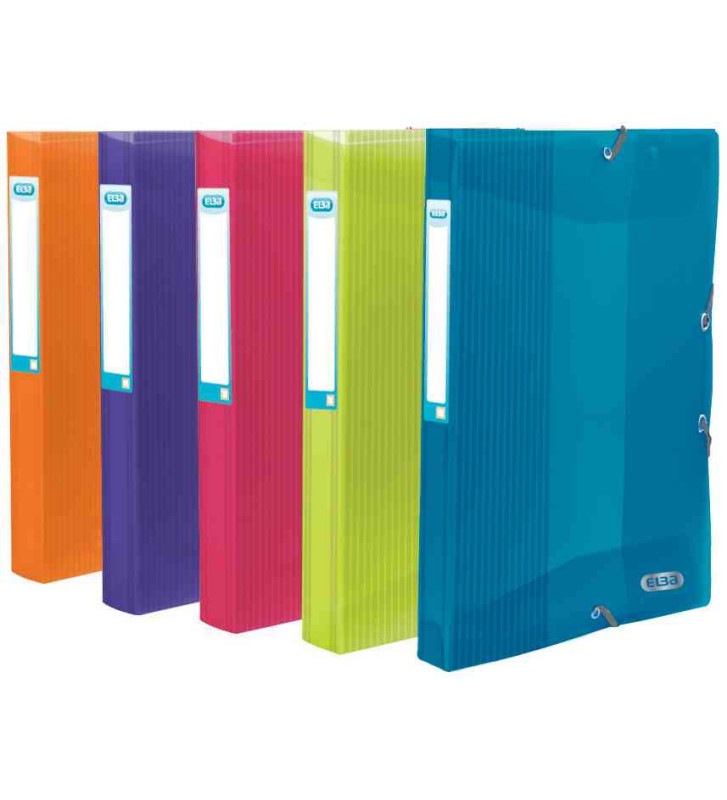 Boite de rangement School Life PP Dos de 25 mm pour A4 Coloris Aléatoire