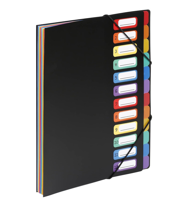 Trieur à 12 compartiments en format chèque Rainbow Class Noir