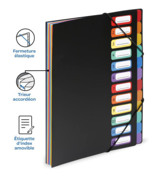 Trieur à 12 compartiments en format chèque Rainbow Class Noir