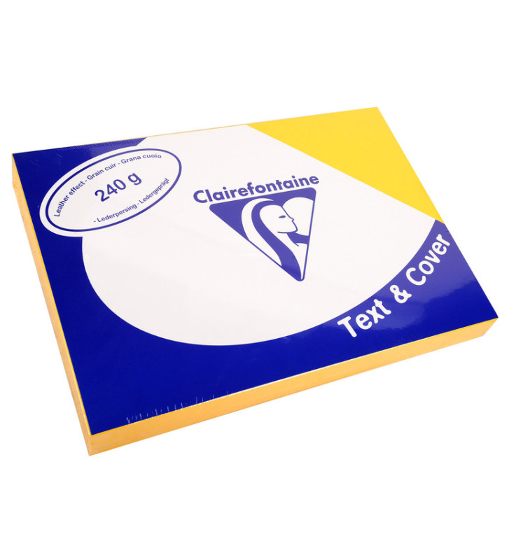 100 Couvertures reliure Text&Cover 240g A4 210x297 mm Jaune tournesol