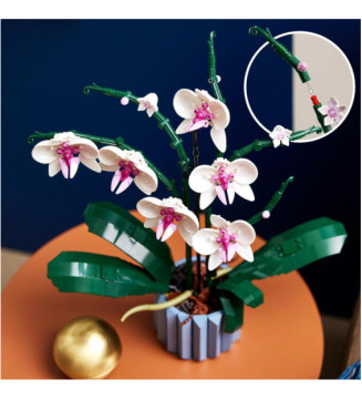 Creator Expert 10311 Orchidee