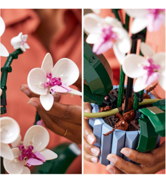Creator Expert 10311 Orchidee