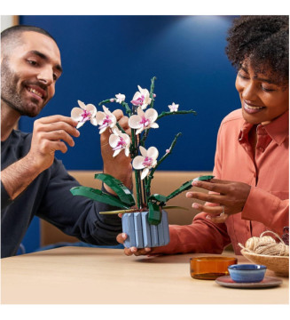 Creator Expert 10311 Orchidee