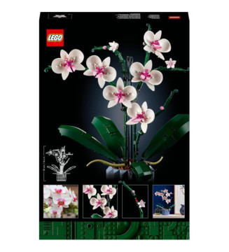 Creator Expert 10311 Orchidee