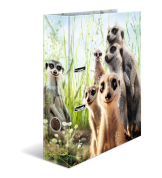 Classeur à Levier Carton A4 Dos de 70mm Motifs Suricates