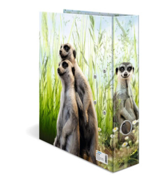 Classeur à Levier Carton A4 Dos de 70mm Motifs Suricates