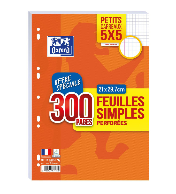 Lot de 300 pages Feuillets mobiles A4 90g perforés Quad 5x5 avec Marge