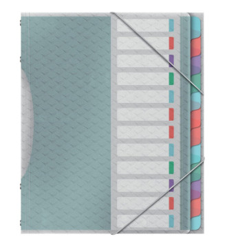 Trieur Colour'Ice A4 PP 12 compartiments 3 rabats Transparent