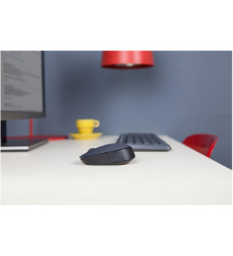 Souris sans fil M170 Gris