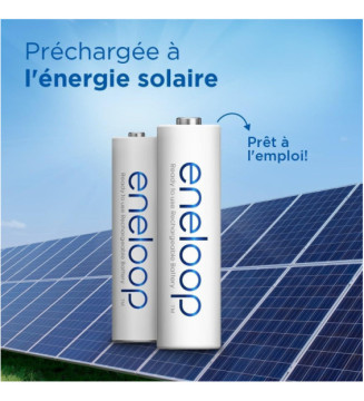 Eneloop Pack 4 Piles Rechargeables Micro AAA 800mAh