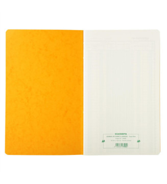 Piqûre 32x19,5cm Journal de caisse ou banque 5 débits - 5 crédits 31 lignes 80 pages - Couleurs...