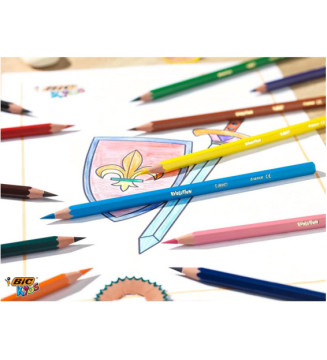Pot de 60 crayons de couleur ECO KIDS EVOLUTION 12 couleurs assrorties