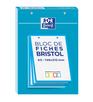 Bloc de 30 Fiches Bristol Perforées A5 Q5/5 Bordures bleues
