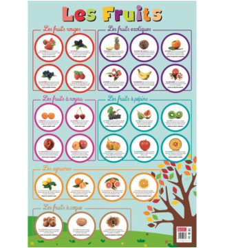 Poster pédagogique Fruits 52 x 76 cm