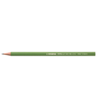 Crayon Graphite GREENGraph tête coupée HB